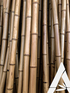 Bamboo-AGB