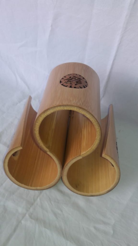 PAGINA TOCORA2