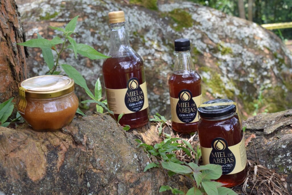 IMG-20211007-WA0011