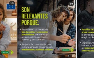 BIENES Y SERVICIOS DE NEGOCIOS VERDES Y SOSTENIBLES.