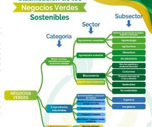 CLASIFICACION DE LOS NEGOCIOS VERDES Y SOSTENIBLES