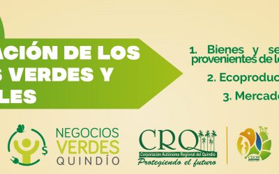 CLASIFICACIÓN DE LOS NEGOCIOS VERDES Y SOSTENIBLES