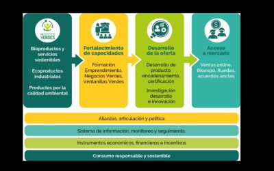 Conoces Sobre Consumo Responsable y Sostenible