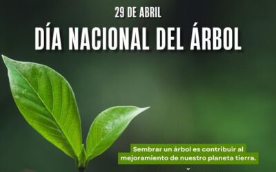 Día Nacional del Árbol, 29 de abril