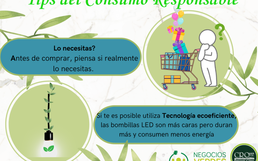 Cómo Puedo Ser Un Consumidor Responsable?