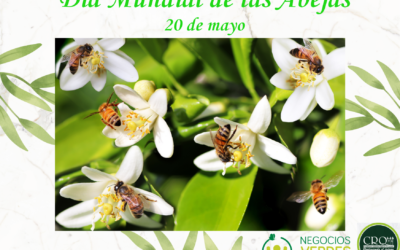 Día Mundial de las Abejas